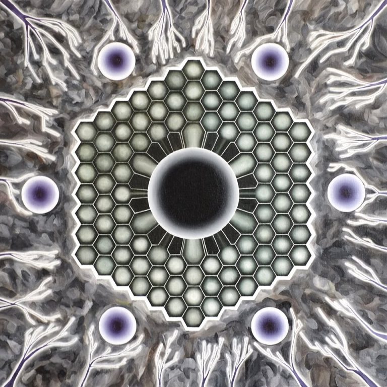 Bees Made Honey in the Vein Tree interview - It's Psychedelic Baby Magazine