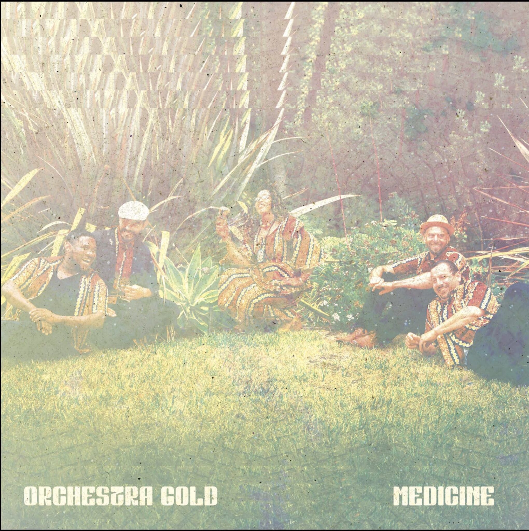 'Keleya (Jealousy)' by Orchestra Gold New Album, 'Medicine' It's