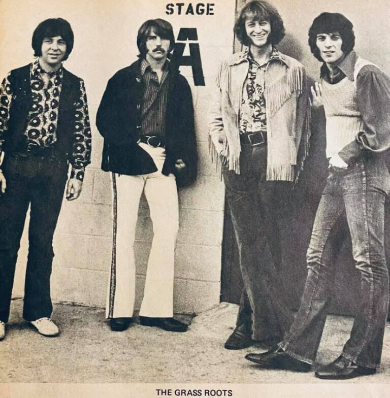 The Grass Roots Dennis Provisor Interview It's Psychedelic Baby