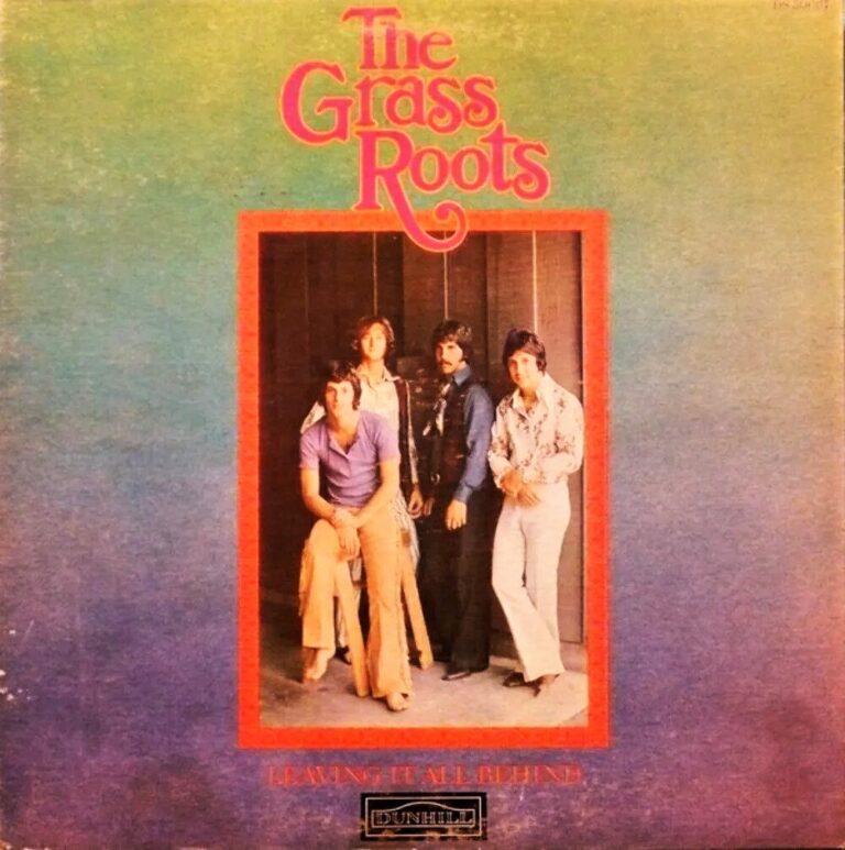 The Grass Roots Dennis Provisor Interview It's Psychedelic Baby